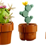 Les plantes miniatures - 10329