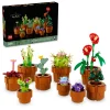 Les plantes miniatures - 10329