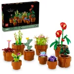 Les plantes miniatures - 10329