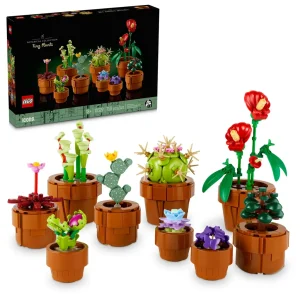 Les plantes miniatures 2023