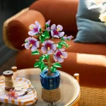 Hibiscus - 10372
