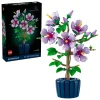 Hibiscus - 10372