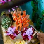 l-aquarium-tropical-10366