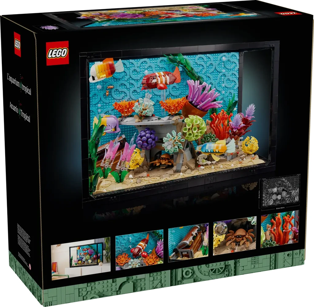 l-aquarium-tropical-10366