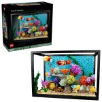 L’aquarium tropical