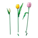 Le-bouquet-de-tulipes-11501
