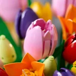 Le-bouquet-de-tulipes-11501