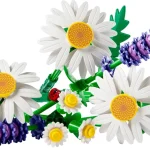 marguerites - 11508