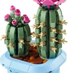 Cactus fleuri - 11509