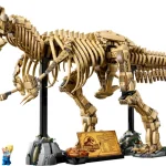 Les fossiles de dinosaures - le Tyrannosaurus rex - 76968