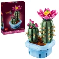 Cactus fleuri - 11509