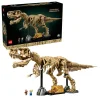 Les fossiles de dinosaures - le Tyrannosaurus rex - 76968
