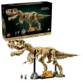 Les fossiles de dinosaures - le Tyrannosaurus rex - 76968