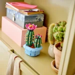 Cactus fleuri - 11509