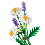 marguerites - 11508