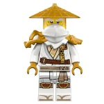 le dragon gardien - 71847