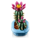 Cactus fleuri - 11509