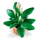 Les fleurs de lune - 11504