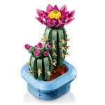 Cactus fleuri - 11509