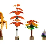 Le jardin automne - 11372