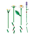marguerites - 11508