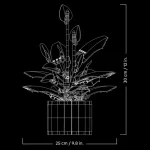 Les fleurs de lune - 11504
