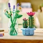 Cactus fleuri - 11509