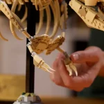 Les fossiles de dinosaures - le Tyrannosaurus rex - 76968