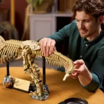 Les fossiles de dinosaures - le Tyrannosaurus rex - 76968