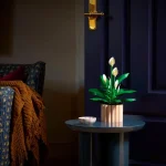 Les fleurs de lune - 11504