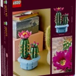 Cactus fleuri - 11509