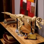 Les fossiles de dinosaures - le Tyrannosaurus rex - 76968