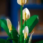 Les fleurs de lune - 11504