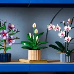 Les fleurs de lune - 11504