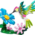 Animaux sauvages : le colibri colore - 31384