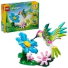Animaux sauvages : le colibri colore - 31384