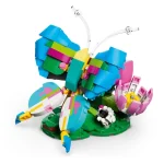 Animaux sauvages : le colibri colore - 31384