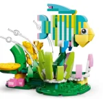 Animaux sauvages : le colibri colore - 31384