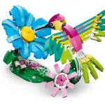 Animaux sauvages : le colibri colore - 31384