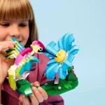Animaux sauvages : le colibri colore - 31384