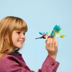 Animaux sauvages : le colibri colore - 31384
