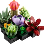 Les succulentes - 10309