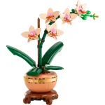 orchidee miniature 10343