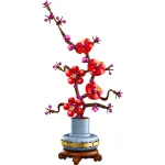 Les fleurs de prunier - 10369
