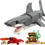 Le redoutable requin et le coffre au trésor - 31381