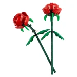 Les roses - 40460