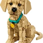 Le chiot Golden Retriever - 11384