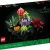 Les succulentes - 10309