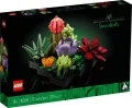 Les succulentes - 10309
