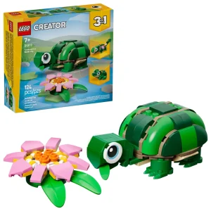 La tortue et la fleur de nénuphar 2026